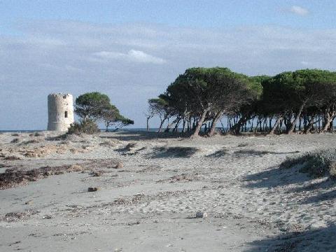 spiaggia4.jpg 35.8K